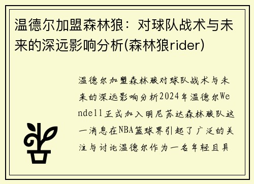 温德尔加盟森林狼：对球队战术与未来的深远影响分析(森林狼rider)