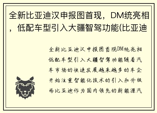 全新比亚迪汉申报图首现，DM统亮相，低配车型引入大疆智驾功能(比亚迪汉2022全新)