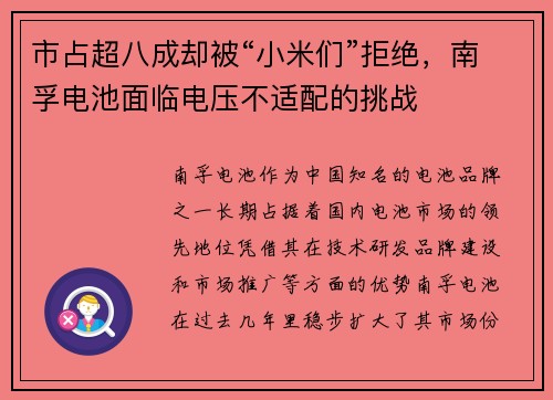 市占超八成却被“小米们”拒绝，南孚电池面临电压不适配的挑战